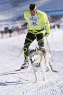 Lenk 2013